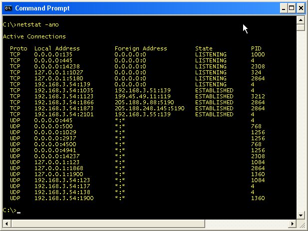 Results of the netstat command